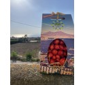 Box Pomodorino Rosso del...